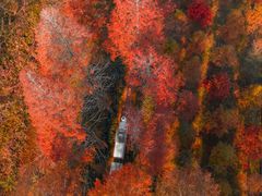 -黄海国家森林公园