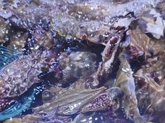 -聚盛源蒸汽海鲜火锅烤肉自助(巨川金海岸购物广场店)