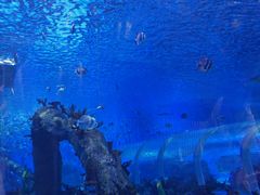 -石家庄极地海洋世界