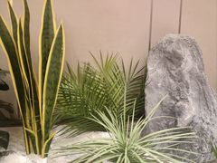 -蜀厨小匠·民间川菜(犀浦店)
