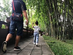 -望江楼公园