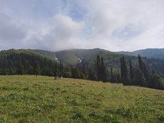 -新疆那拉提国家旅游度假区