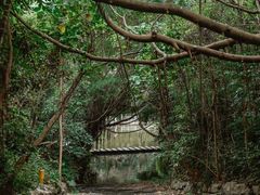 -燕晗山郊野公园