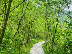 -鹿院坪生态旅游景区