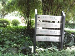 SNC00821-晓港公园