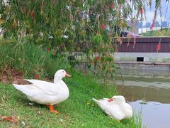 -深圳大学(丽湖校区)