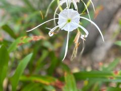 -草庵摩尼教遗址公园