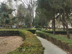 -黄村公园