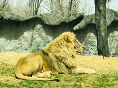 -北京野生动物园