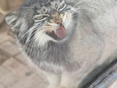 -青藏高原野生动物园