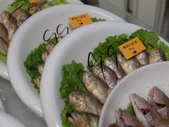 -日丰园海肠水饺·老字号大连海鲜(小平岛总店)