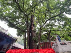 -红螺寺