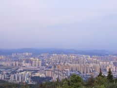 -长虫山生态公园风景林