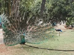 -昆明动物园