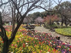 -苏州上方山国家森林公园