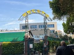 -曲阳花鸟市场(曲阳路店)