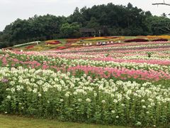 -保利石象湖景区