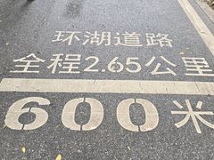 -海珠湖公园