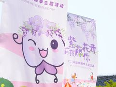 -嘉定紫藤园