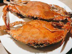 -星伦多自助料理(爱琴海店)