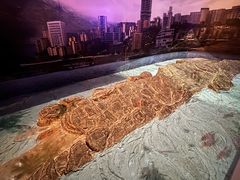 -白鹤梁水下博物馆