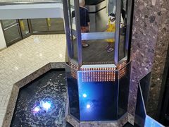 -Black Pearl Bubble Tea(Stamford)