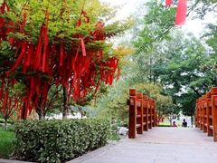 -圆通寺