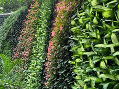 -石家庄市植物园