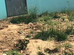 -无锡动物园·太湖欢乐园