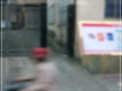 -花竹村