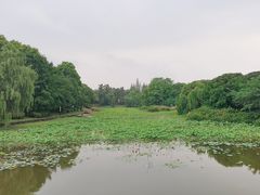 -四川大学(江安校区)