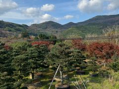-四明山国家森林公园