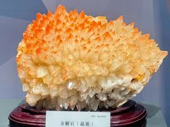 -湖南省地质博物馆