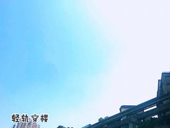 -李子坝梁山鸡(李子坝大鸡哥店)