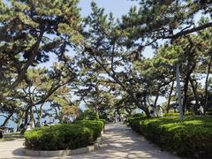 -青岛第一海水浴场
