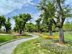 -南京银杏湖乐园