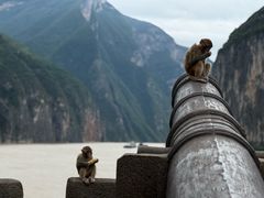 -白帝城·瞿塘峡景区
