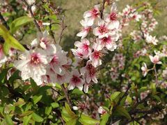 -白塘生态植物园