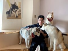 -Husky Go! 哈士奇体验馆·宠物咖啡厅狗咖