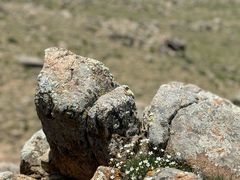 -石条山