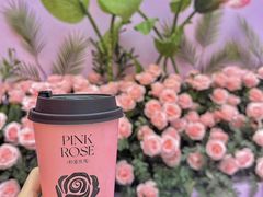 -鲜芒多·杨枝甘露(摩尔城A座10楼店)