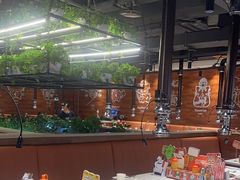 -猫爪爪原切自助烤肉(观音桥阳光世纪店)