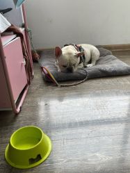 -IDEA·艾蒂尔科技美肤·日式美甲美睫集合店