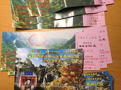 -王顺山国家森林公园