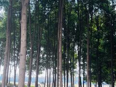 -国际非物质文化遗产博览园