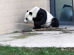 -石家庄市动物园