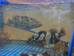 -皇朝尊会(龙之梦大酒店)