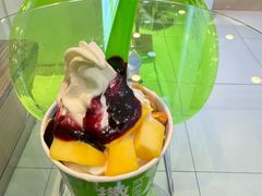 -Salud撒露欧洲冻酸奶(蓝色港湾店)
