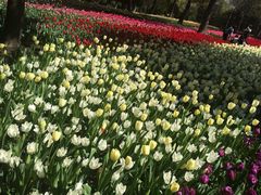 -上海鲜花港