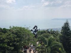 -亚龙湾热带天堂森林公园